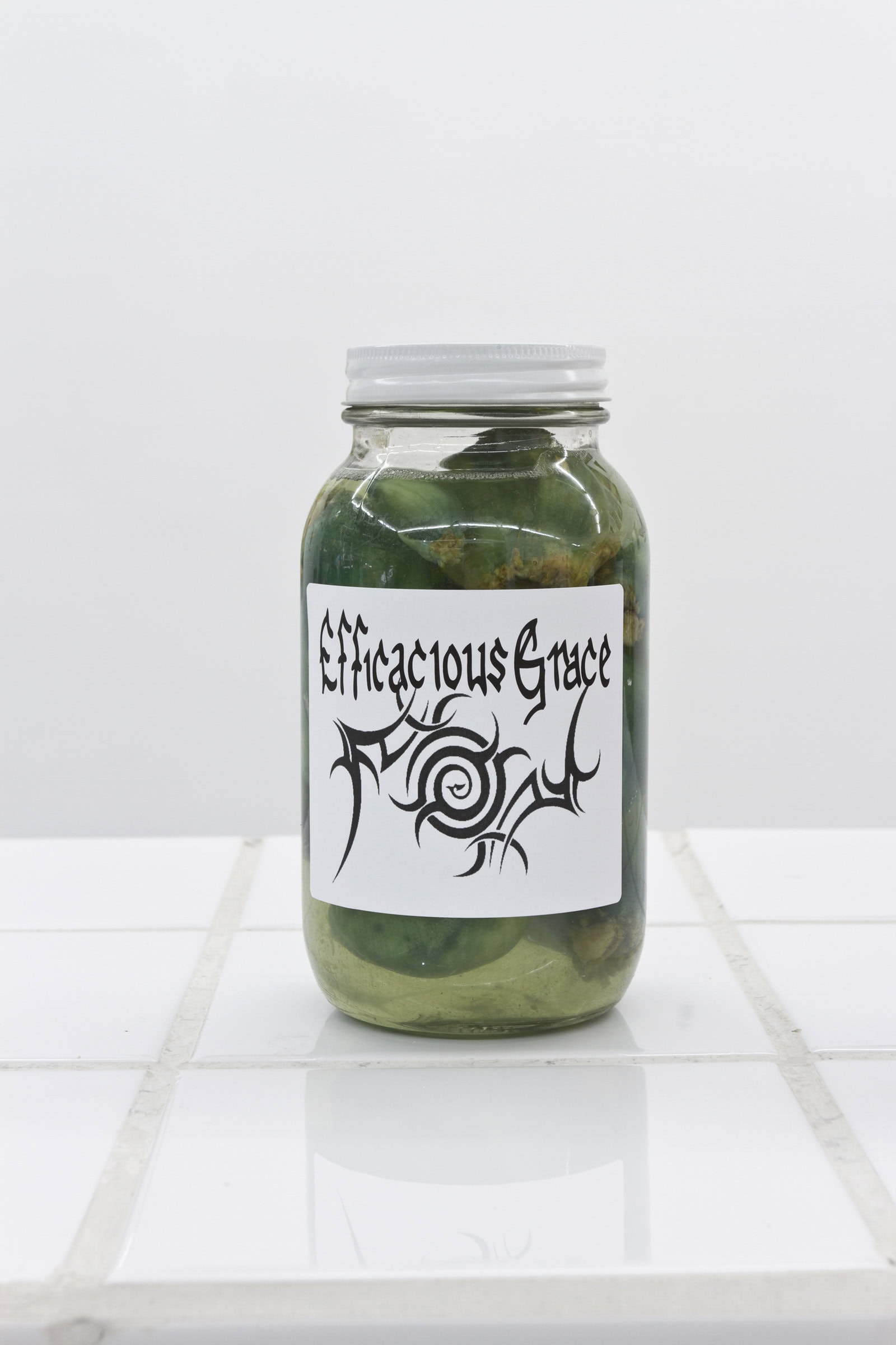 House of Gaga ❧ War Pickles